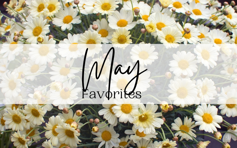 Our Dietitians’ Favorite Things in May 2023