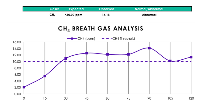 methane dominant