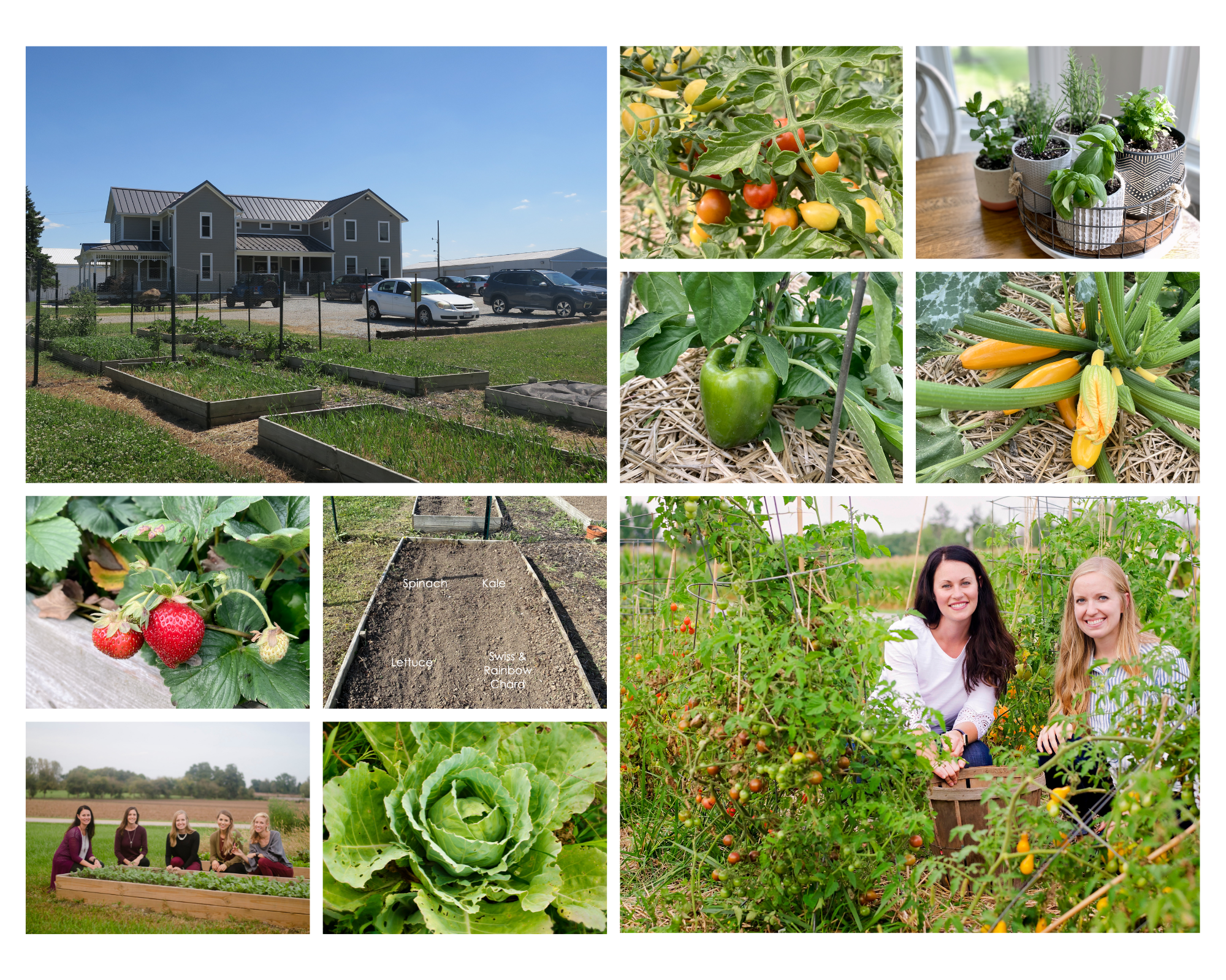 gardening and fresh produce